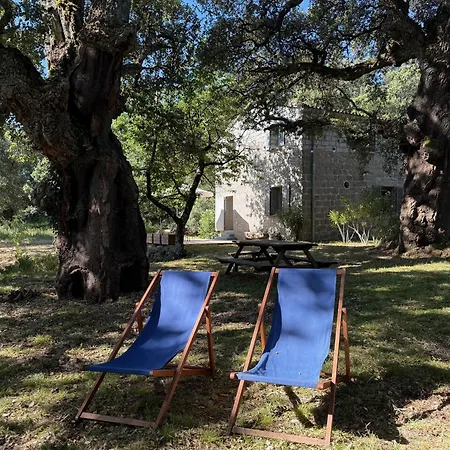 La Maison Du Ruspu - Havre De Paix Entre Et Montagne Holiday home