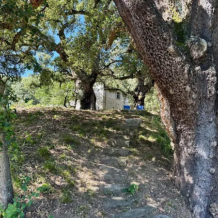 La Maison Du Ruspu - Havre De Paix Entre Et Montagne